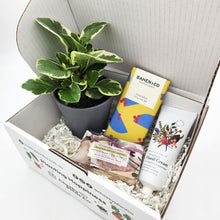 Load image into Gallery viewer, Pamper Plant Gift Box