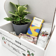 Load image into Gallery viewer, Pamper Plant Gift Box
