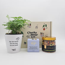 Load image into Gallery viewer, Positive Vibes - Plant Gift Box