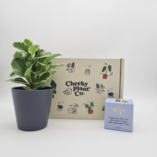 Load image into Gallery viewer, Tea & Plant Gift Box