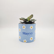 Load image into Gallery viewer, Slayyy - Cheeky Plant Co. Pot - 12.5cmD x 12cmH