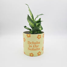 Load image into Gallery viewer, Delulu Is the Solulu - Cheeky Plant Co. Pot - 12.5cmD x 12cmH