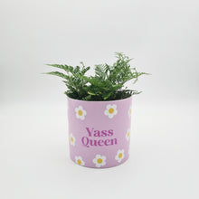 Load image into Gallery viewer, Yass Queen - Cheeky Plant Co. Pot - 12.5cmD x 12cmH