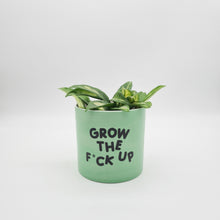 Load image into Gallery viewer, Grow the F*ck Up - Cheeky Plant Co. Pot - 12.5cmD x 12cmH