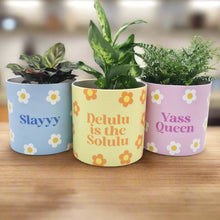 Load image into Gallery viewer, Trio Slay Queen Pots Pack - Cheeky Plant Co. Pots - 12.5cmD x 12cmH