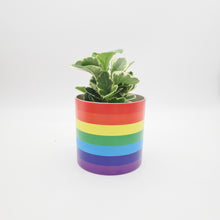 Load image into Gallery viewer, Rainbow - Cheeky Plant Co. Pot - 12.5cmD x 12cmH