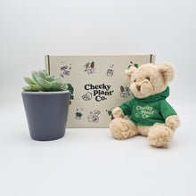 Load image into Gallery viewer, Teddy Bear & Succulent Gift Box