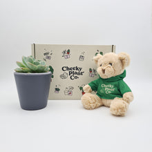 Load image into Gallery viewer, Teddy Bear & Succulent Gift Box