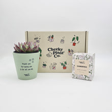 Load image into Gallery viewer, Thank You For All You Do - Succulent Gift Box