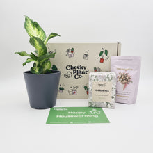 Load image into Gallery viewer, Housewarming - Plant Gift Box