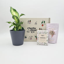 Load image into Gallery viewer, Housewarming - Plant Gift Box