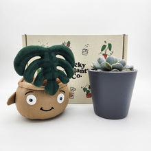 Load image into Gallery viewer, Cheeky Monstera Plant Plushie & Succulent Gift Box