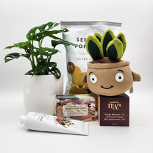 Load image into Gallery viewer, Best Birthday - Assorted Plant Gift Hamper - Sydney Only