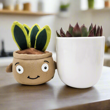 Load image into Gallery viewer, Succulent & Plant Plushie Gift - Sydney Only