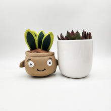 Load image into Gallery viewer, Succulent & Plant Plushie Gift - Sydney Only