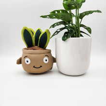 Load image into Gallery viewer, Potted Plant and Plant Plushie Gift - 120mm - Sydney Only