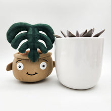 Load image into Gallery viewer, Succulent & Plant Plushie Gift - Sydney Only