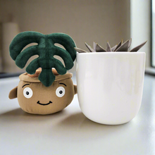 Load image into Gallery viewer, Succulent & Plant Plushie Gift - Sydney Only