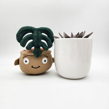 Load image into Gallery viewer, Succulent & Plant Plushie Gift - Sydney Only