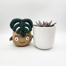 Load image into Gallery viewer, Succulent & Plant Plushie Gift - Sydney Only