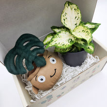 Load image into Gallery viewer, Plushie & Plant Gift Box