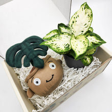 Load image into Gallery viewer, Plushie & Plant Gift Box
