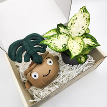 Load image into Gallery viewer, Plushie & Plant Gift Box