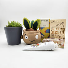 Load image into Gallery viewer, Pamper - Succulent Hamper / Succulent Gift Box - Sydney Only