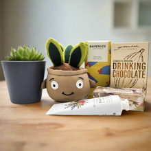 Load image into Gallery viewer, Pamper - Succulent Hamper / Succulent Gift Box - Sydney Only