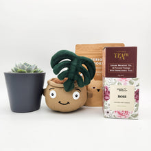 Load image into Gallery viewer, Thank You - Succulent Hamper / Succulent Gift Box - Sydney Only