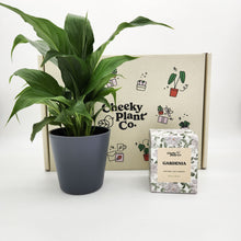 Load image into Gallery viewer, Peace Lily & Candle Gift Box