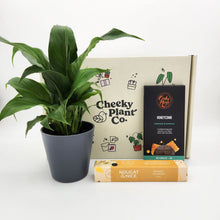 Load image into Gallery viewer, Peace Lily Condolence Gift Box