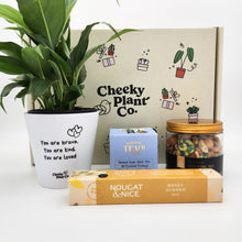 Load image into Gallery viewer, Peace Lily Sympathy Gift Box