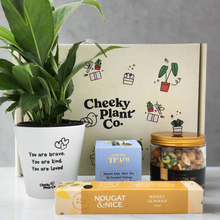 Load image into Gallery viewer, Peace Lily Sympathy Gift Box