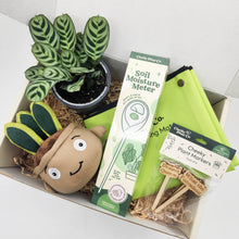 Load image into Gallery viewer, Cheeky Plant Care Starter Gift Box