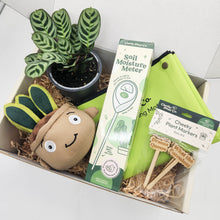 Load image into Gallery viewer, Cheeky Plant Care Starter Gift Box