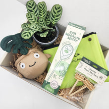 Load image into Gallery viewer, Cheeky Plant Care Starter Gift Box