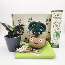 Load image into Gallery viewer, Cheeky Plant Care Starter Gift Box