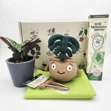 Load image into Gallery viewer, Cheeky Plant Care Starter Gift Box