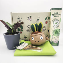 Load image into Gallery viewer, Cheeky Plant Care Starter Gift Box