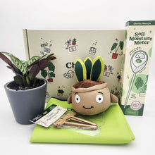 Load image into Gallery viewer, Cheeky Plant Care Starter Gift Box