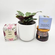 Load image into Gallery viewer, Wedding / Engagement - Plant Gift Hamper - Sydney Only
