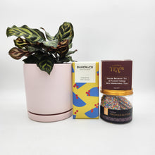 Load image into Gallery viewer, Pawesome Cat Friendly Plant Gift Hamper - Sydney Only