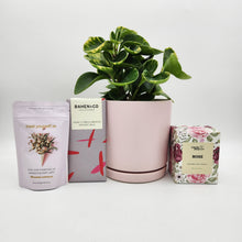 Load image into Gallery viewer, I Love You Plant Gift Hamper - Sydney Only
