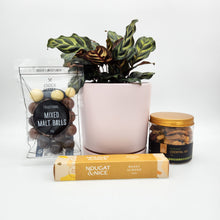 Load image into Gallery viewer, Happiest Birthday Plant Gift Hamper - Sydney Only