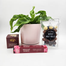 Load image into Gallery viewer, Sincere Sympathy Plant Gift Hamper - Sydney Only