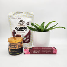 Load image into Gallery viewer, Pawfect Cat Friendly Plant Gift Hamper - Sydney Only