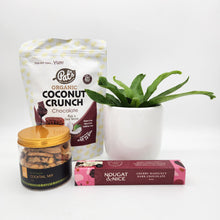 Load image into Gallery viewer, Pawfect Cat Friendly Plant Gift Hamper - Sydney Only