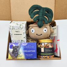 Load image into Gallery viewer, Comfort & Care Plant Plushie Gift Box