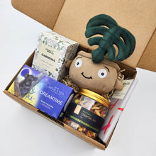 Load image into Gallery viewer, Comfort & Care Plant Plushie Gift Box
